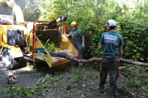 tree services Kirkwood